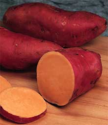 Image title